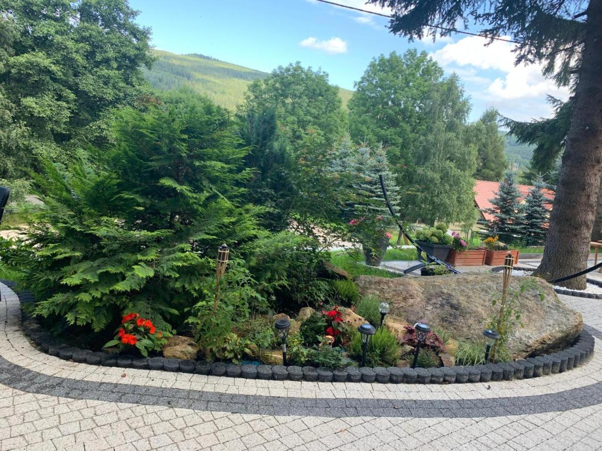 Na Stoku Apartamento Świeradów-Zdrój Exterior foto